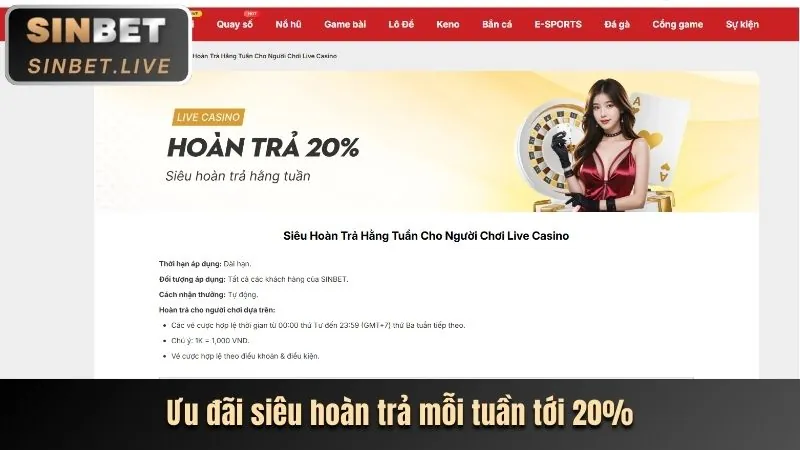Cá cược trực tiếp trên di động